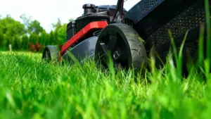 Primo piano di un tosaerba in funzione su un prato verde curato
